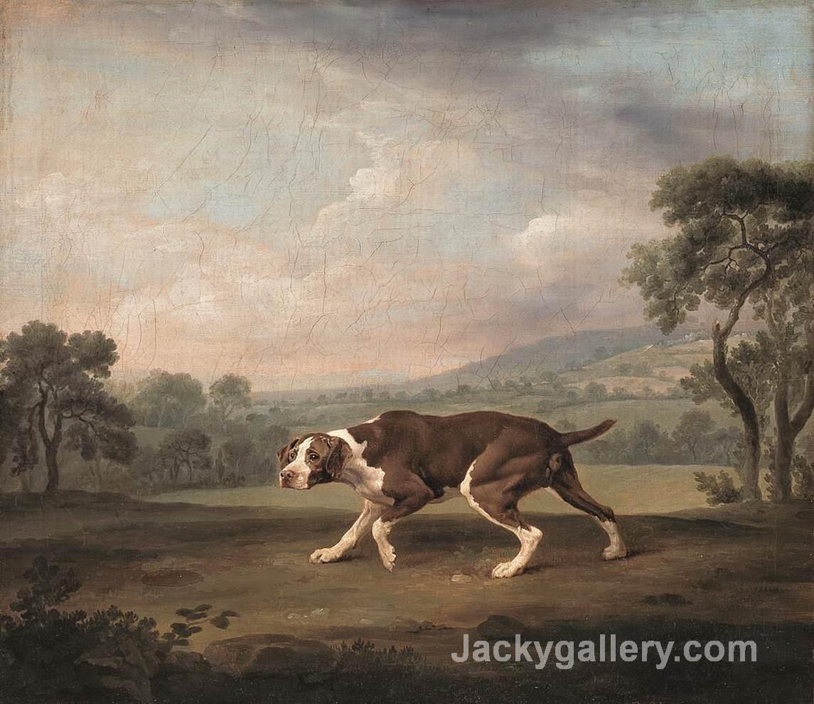 Spanish Pointer by George Stubbs paintings reproduction